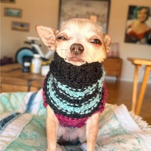 🧶 Hand-Knit Dog Sweater + Matching Beanie Set – XS OR Small 🧶